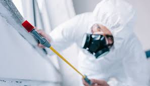 Real Estate Pest Inspections in Galesburg, IL